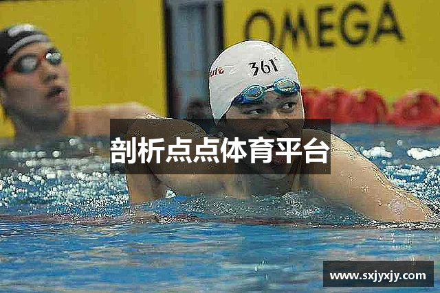 剖析点点体育平台